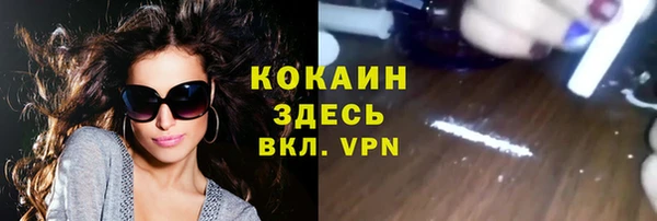 дживик Алзамай
