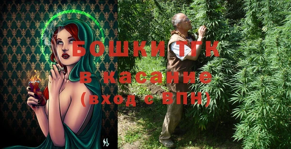 ПСИЛОЦИБИНОВЫЕ ГРИБЫ Абаза