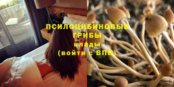 мдпв Сафоново