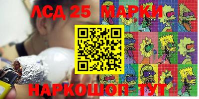 амф Донской