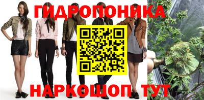 прущие крисы Донецк