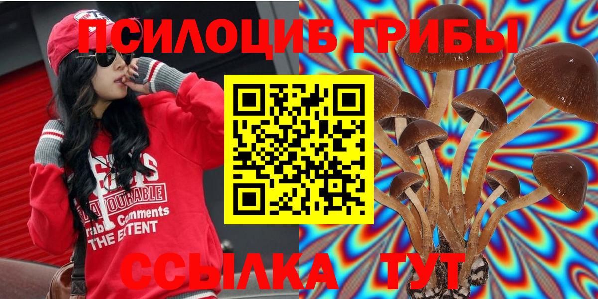 Новоуральск  Галлюциногенные грибы Magic Shrooms  наркошоп  Вход с VPN 